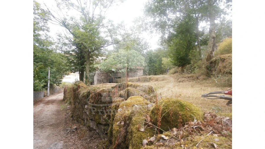 Quinta T0 para Venda em Verim, Friande e Ajude Foto 2