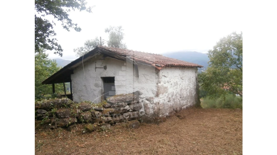 Quinta T0 para Venda em Verim, Friande e Ajude Foto 6