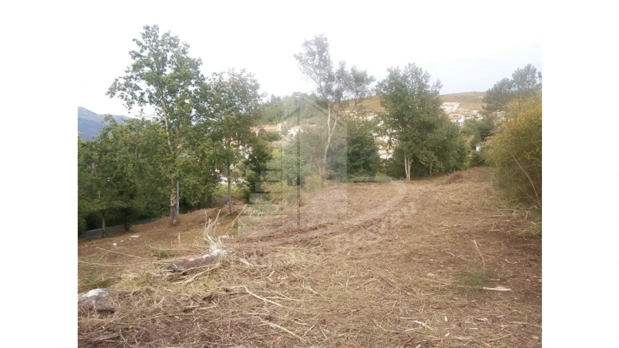Quinta T0 para Venda em Verim, Friande e Ajude Foto 13