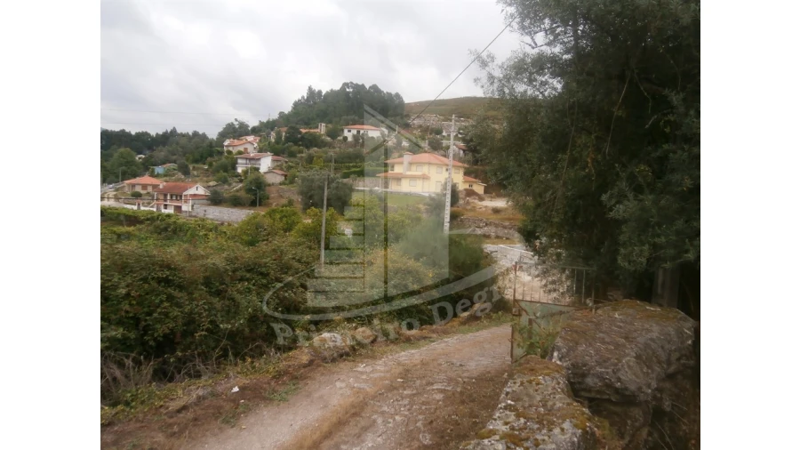 Quinta T0 para Venda em Verim, Friande e Ajude Foto 10