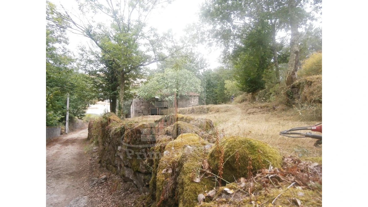 Quinta T0 para Venda em Verim, Friande e Ajude Foto 2