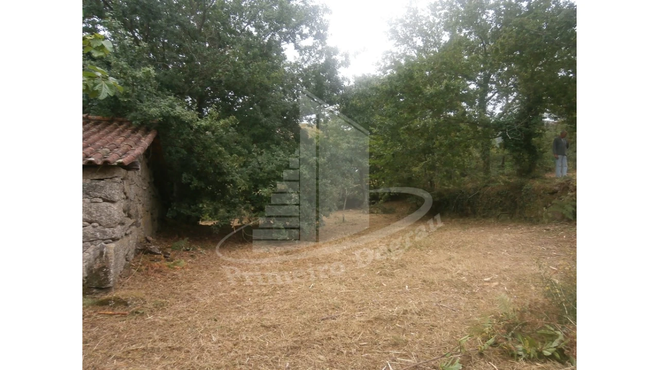 Quinta T0 para Venda em Verim, Friande e Ajude Foto 8