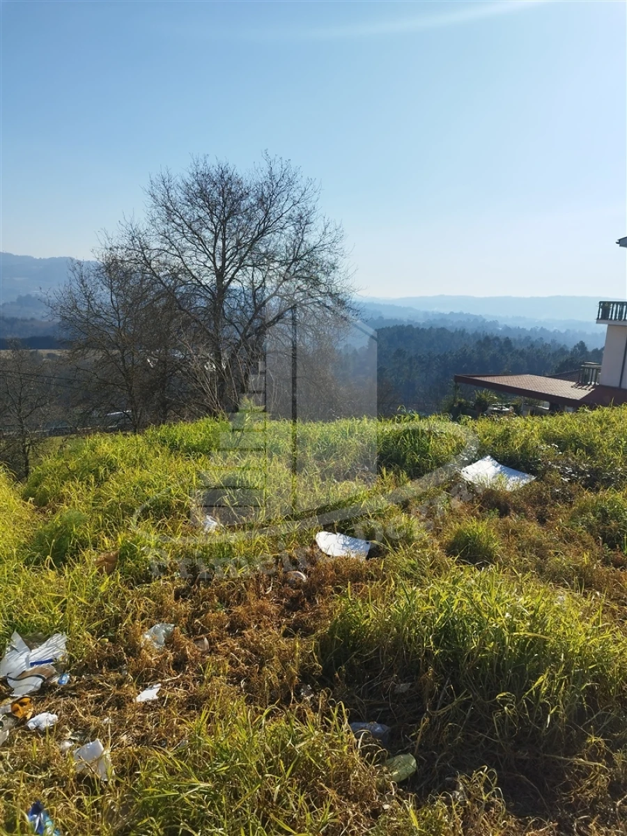 Terreno para Venda em Vila Verde e Barbudo Foto 2