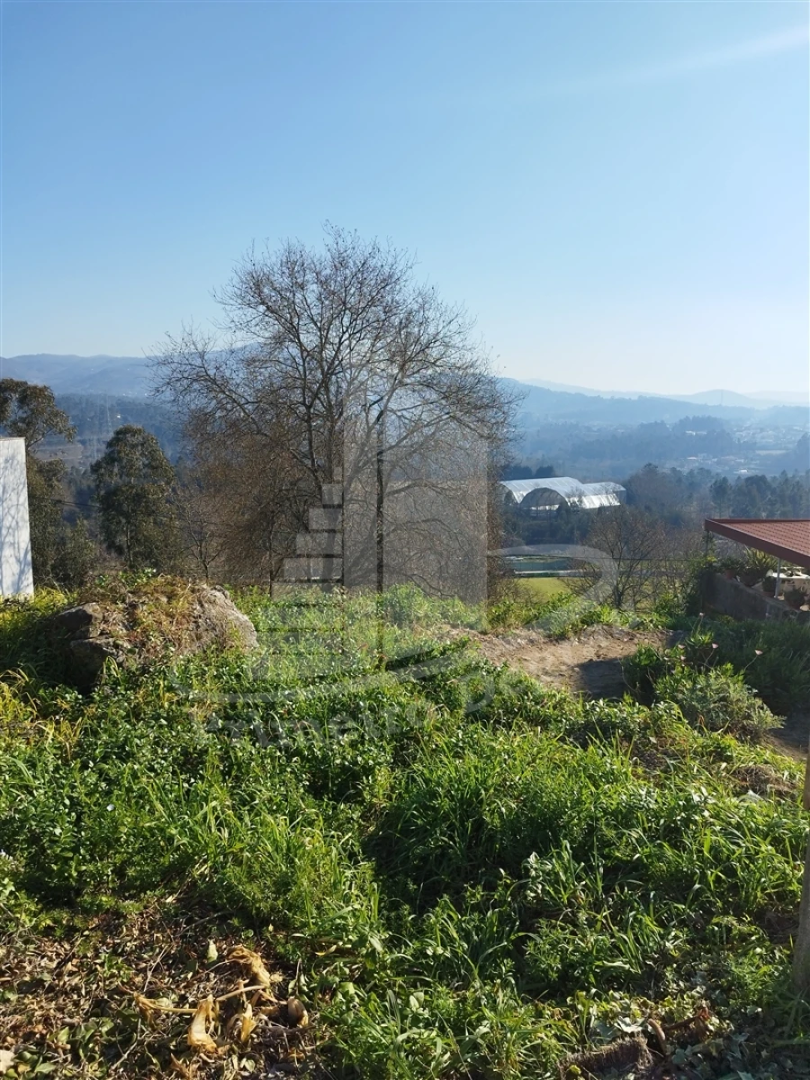 Terreno para Venda em Vila Verde e Barbudo Foto 9