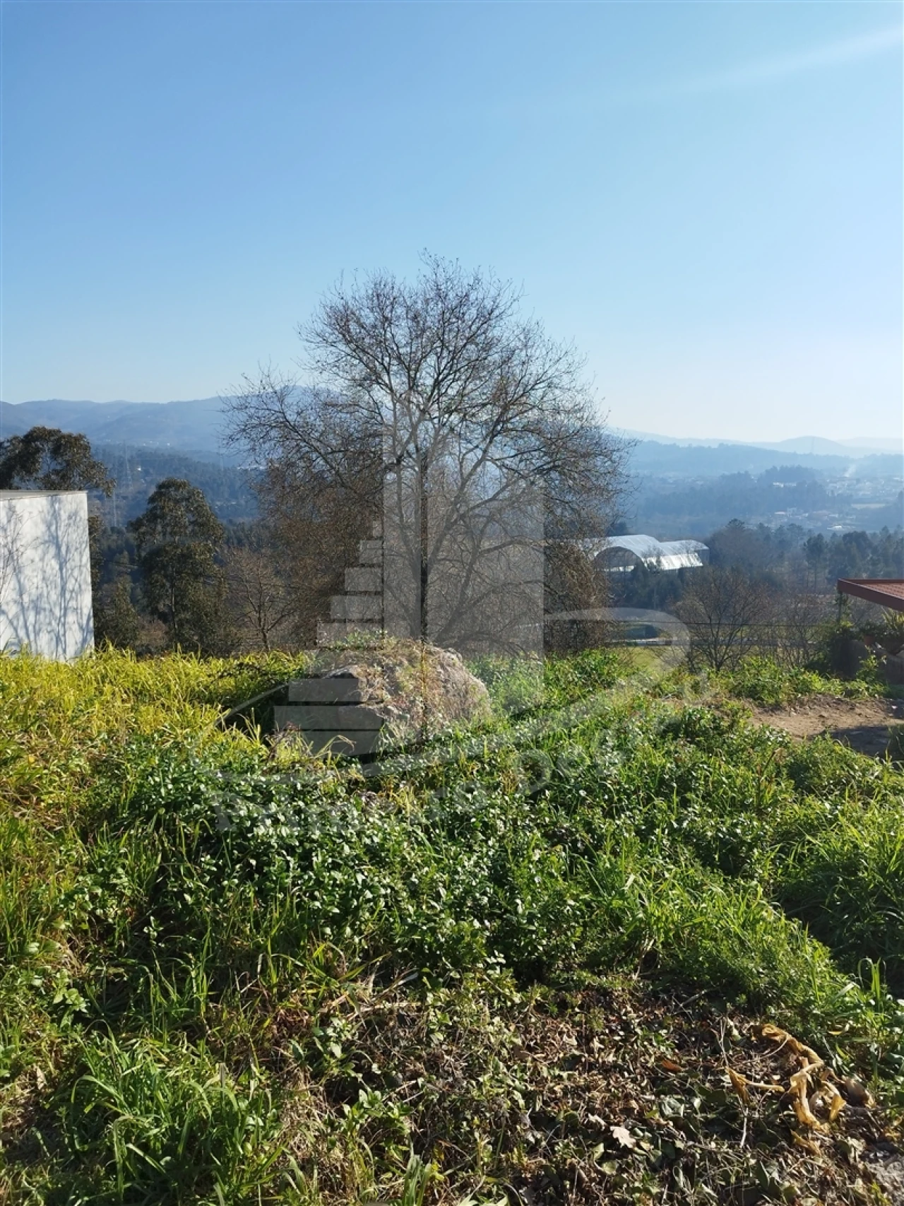 Terreno para Venda em Vila Verde e Barbudo Foto 7