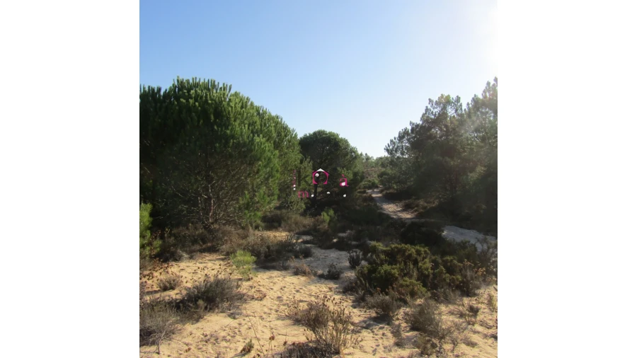 Terreno para Venda em Santo Andre Foto 2