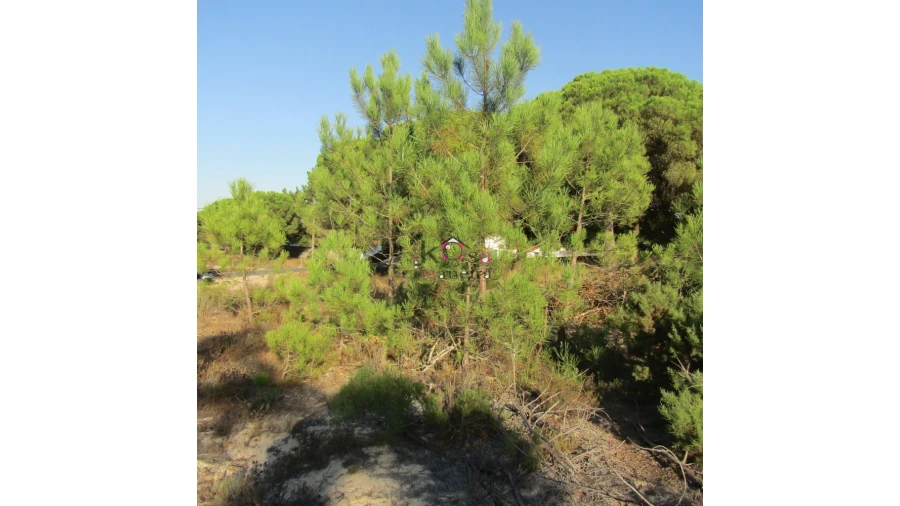 Terreno para Venda em Santo Andre Foto 1