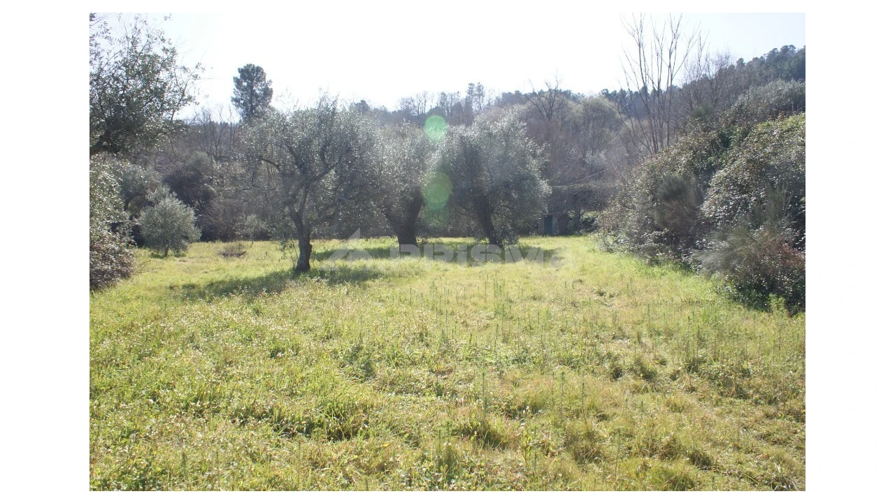 Quinta T3 para Venda em Ferro Foto 53