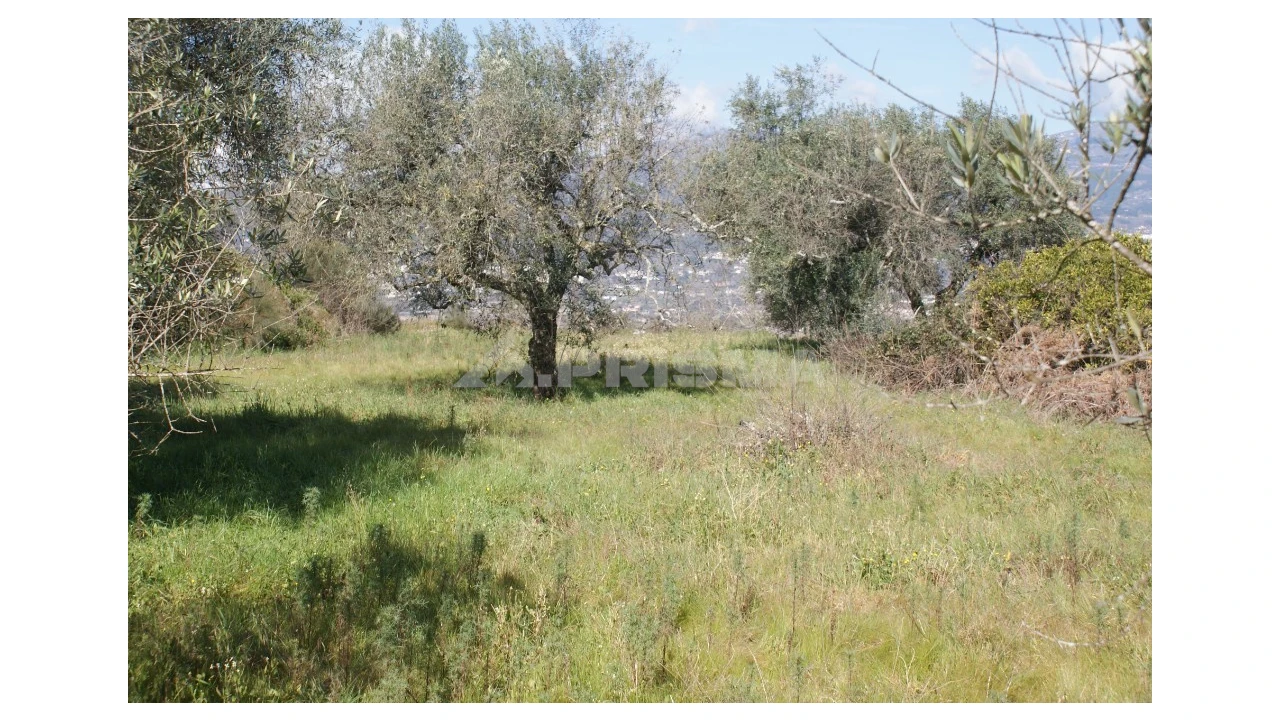 Quinta T3 para Venda em Ferro Foto 51