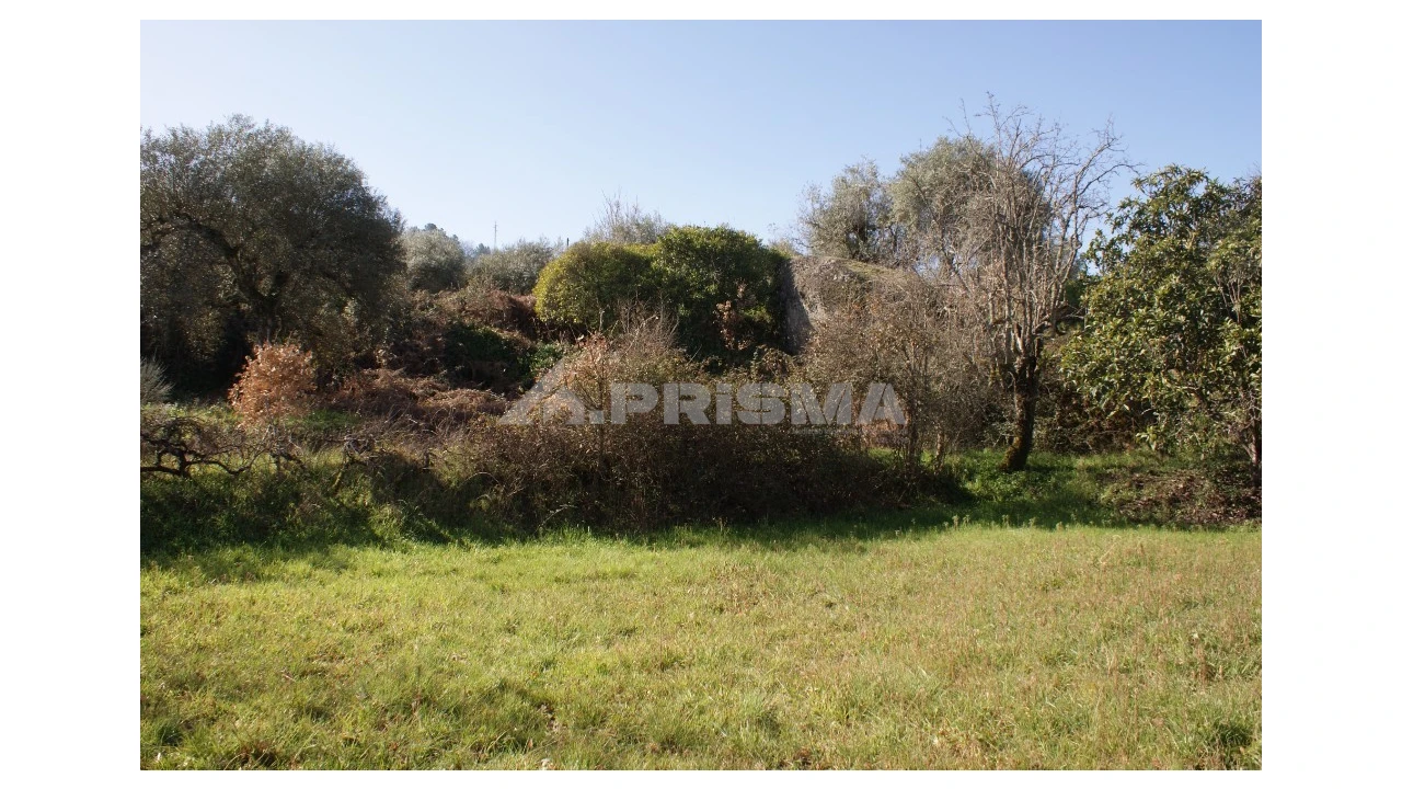 Quinta T3 para Venda em Ferro Foto 44