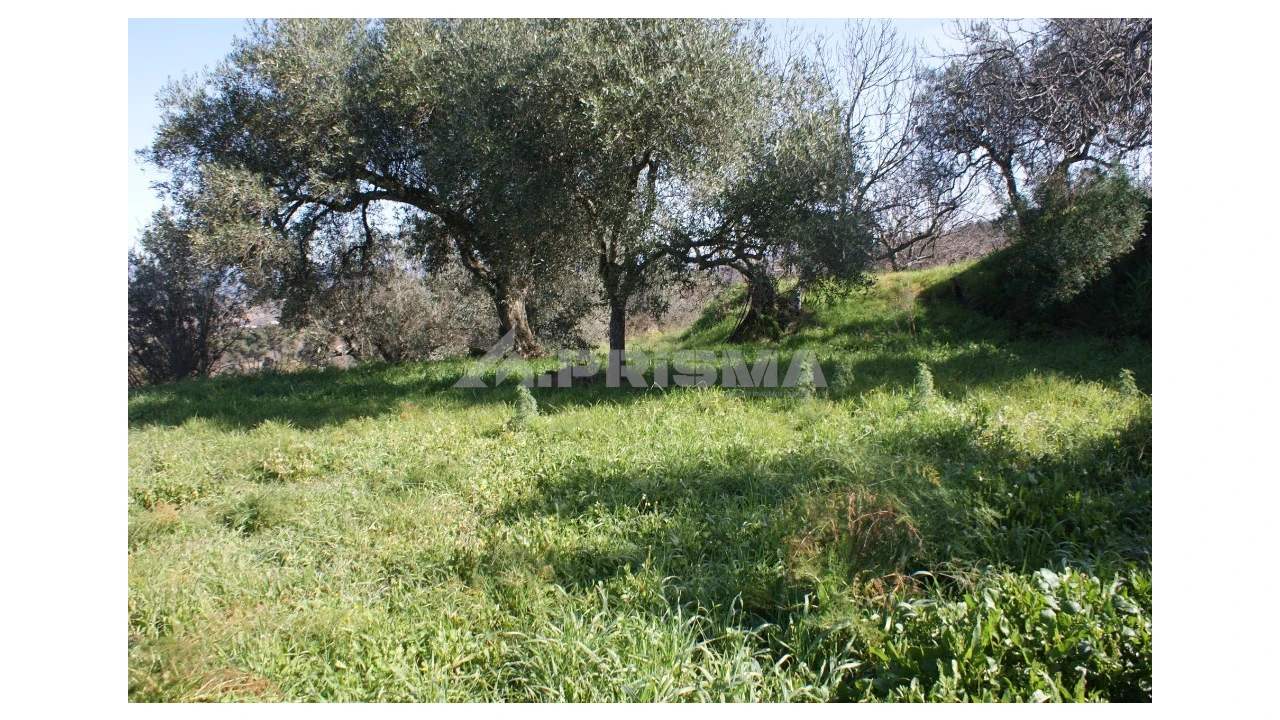 Quinta T3 para Venda em Ferro Foto 39