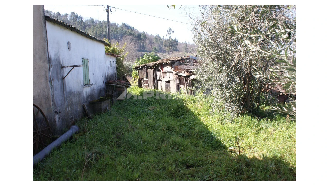 Quinta T3 para Venda em Ferro Foto 26