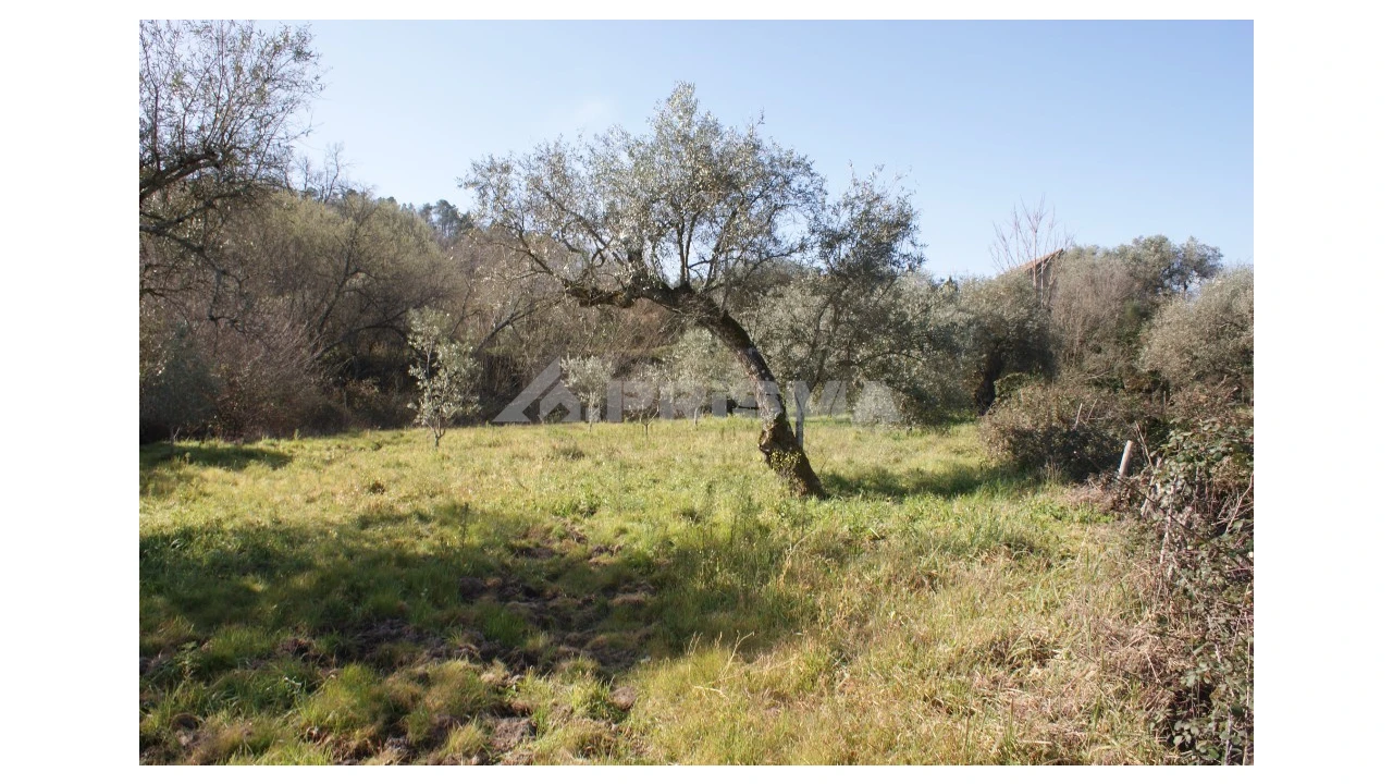 Quinta T3 para Venda em Ferro Foto 48