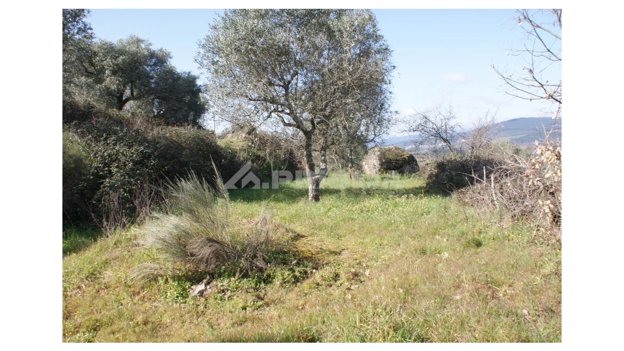 Quinta T3 para Venda em Ferro Foto 54