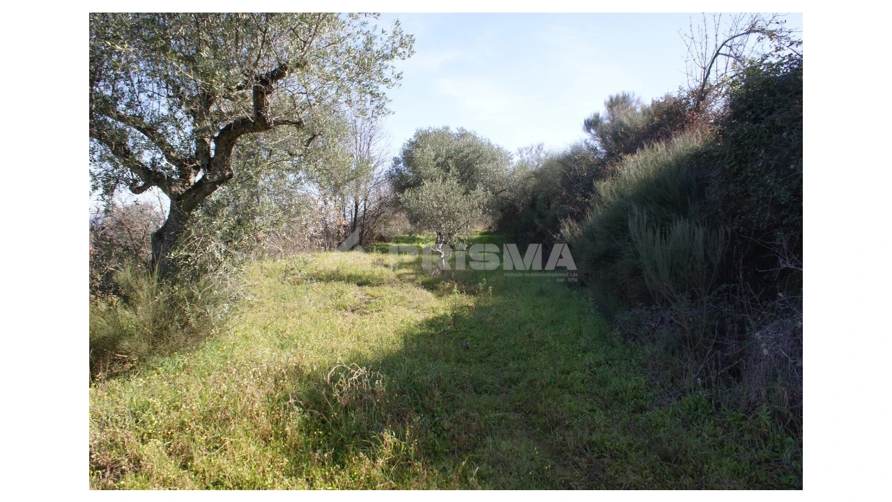 Quinta T3 para Venda em Ferro Foto 40