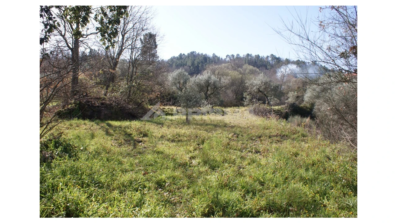 Quinta T3 para Venda em Ferro Foto 47