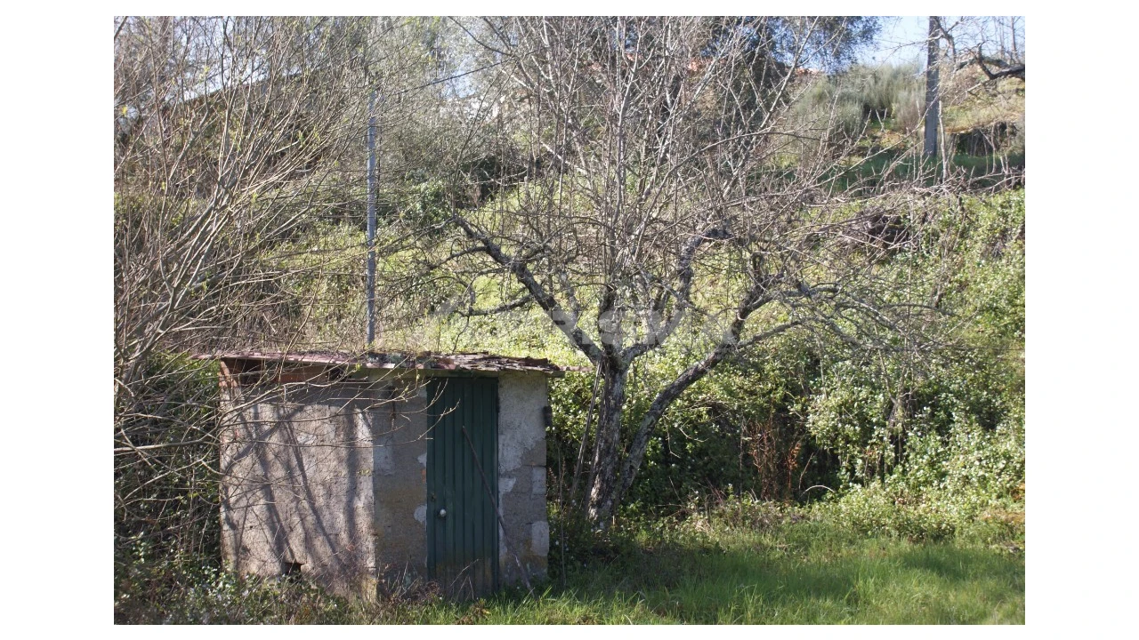 Quinta T3 para Venda em Ferro Foto 52