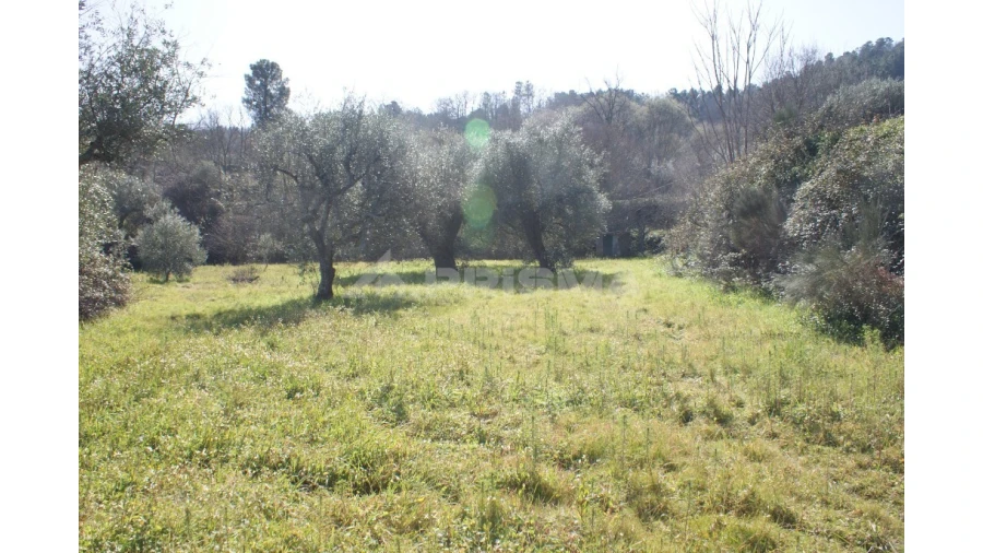 Quinta T3 para Venda em Ferro Foto 53