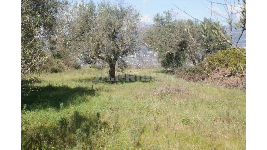 Quinta T3 para Venda em Ferro Foto 51