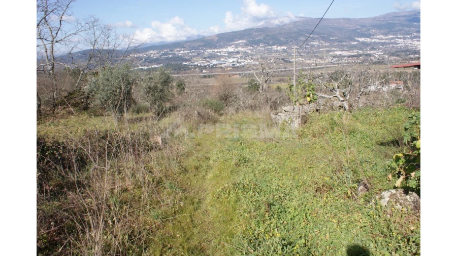 Quinta T3 para Venda em Ferro Foto 38