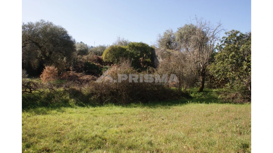 Quinta T3 para Venda em Ferro Foto 44