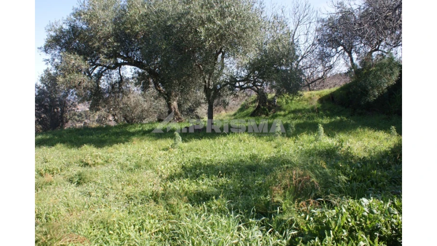 Quinta T3 para Venda em Ferro Foto 39