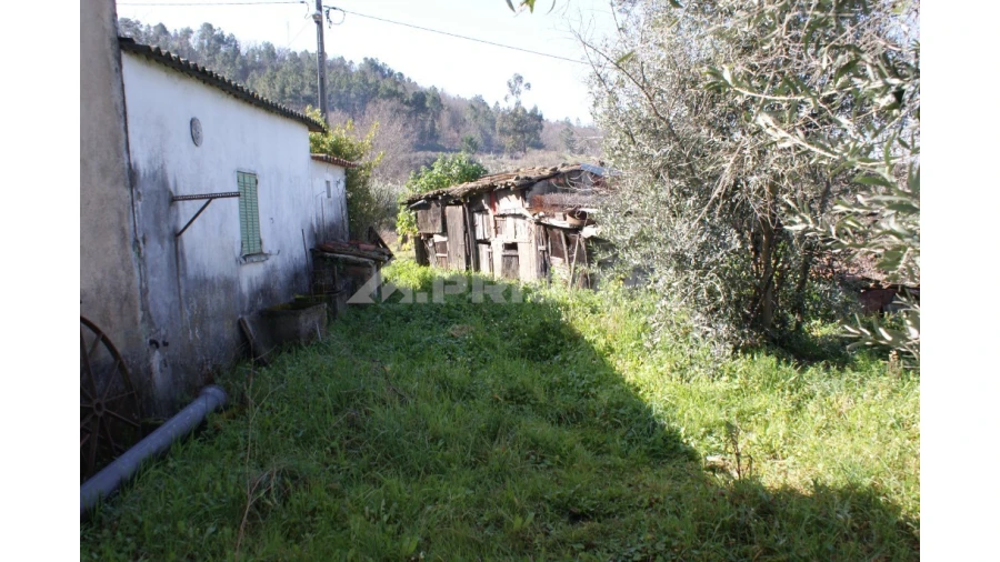 Quinta T3 para Venda em Ferro Foto 26
