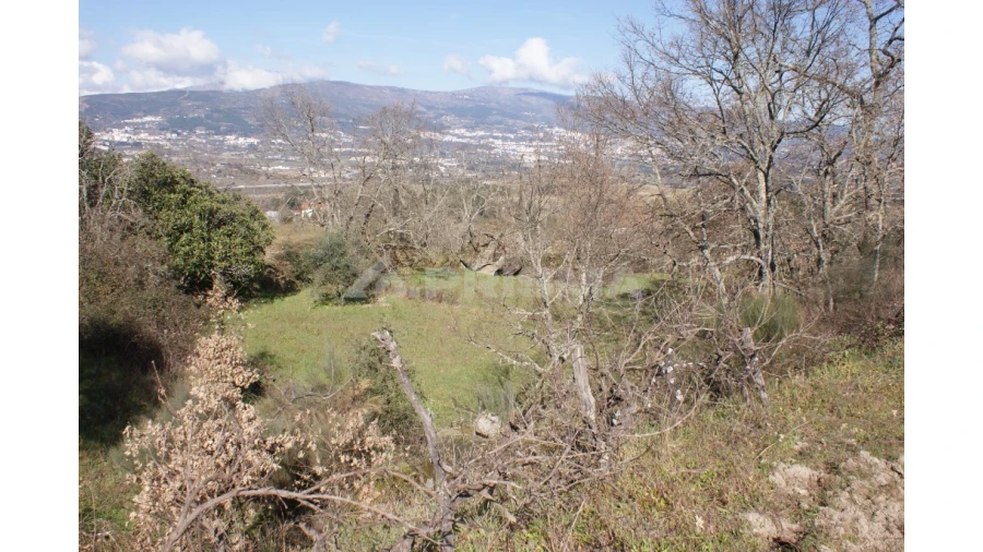 Quinta T3 para Venda em Ferro Foto 49