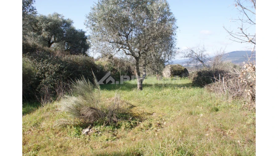 Quinta T3 para Venda em Ferro Foto 54