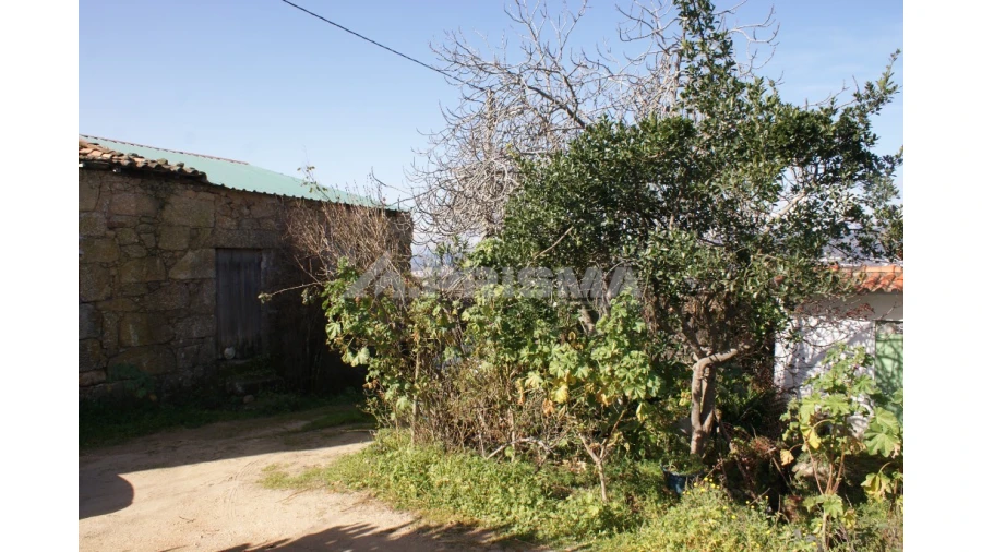 Quinta T3 para Venda em Ferro Foto 2