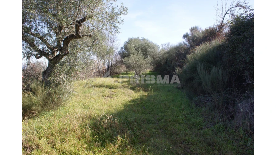 Quinta T3 para Venda em Ferro Foto 40