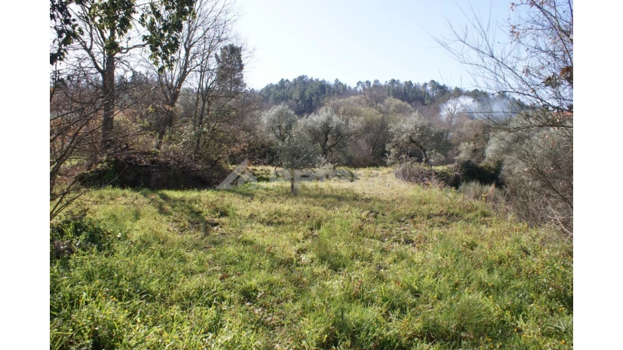 Quinta T3 para Venda em Ferro Foto 47