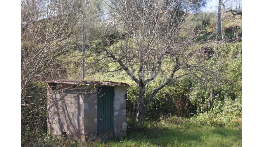 Quinta T3 para Venda em Ferro Foto 52