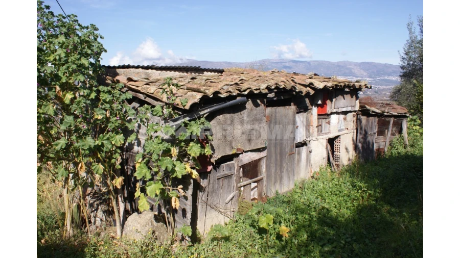 Quinta T3 para Venda em Ferro Foto 37