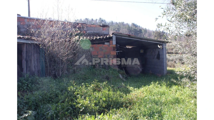 Quinta T3 para Venda em Ferro Foto 27