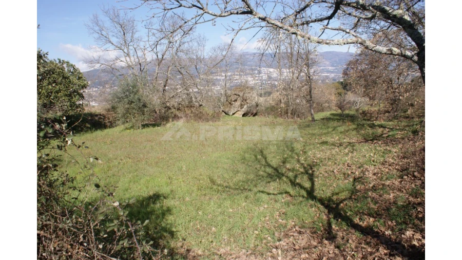 Quinta T3 para Venda em Ferro Foto 45