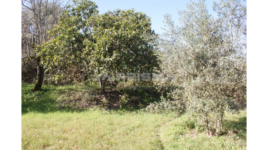 Quinta T3 para Venda em Ferro Foto 42