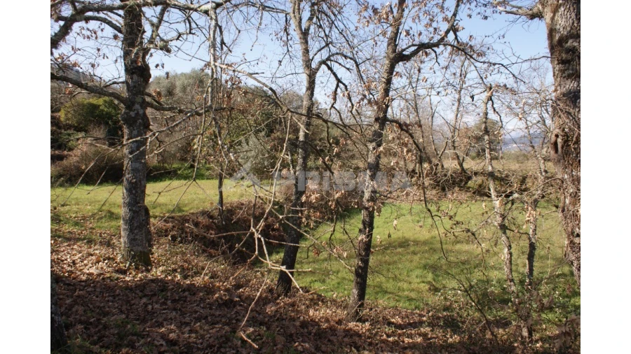 Quinta T3 para Venda em Ferro Foto 46