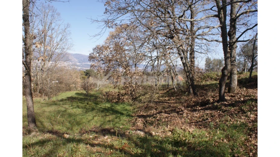 Quinta T3 para Venda em Ferro Foto 43