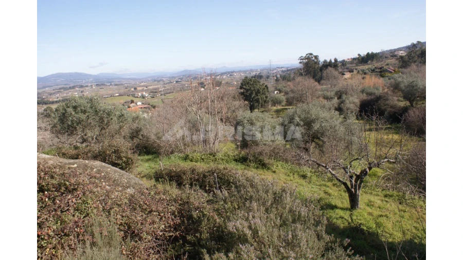 Quinta T3 para Venda em Ferro Foto 35