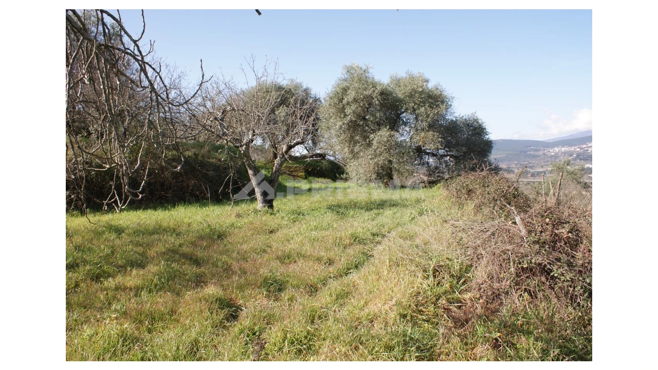 Quinta T3 para Venda em Ferro Foto 55