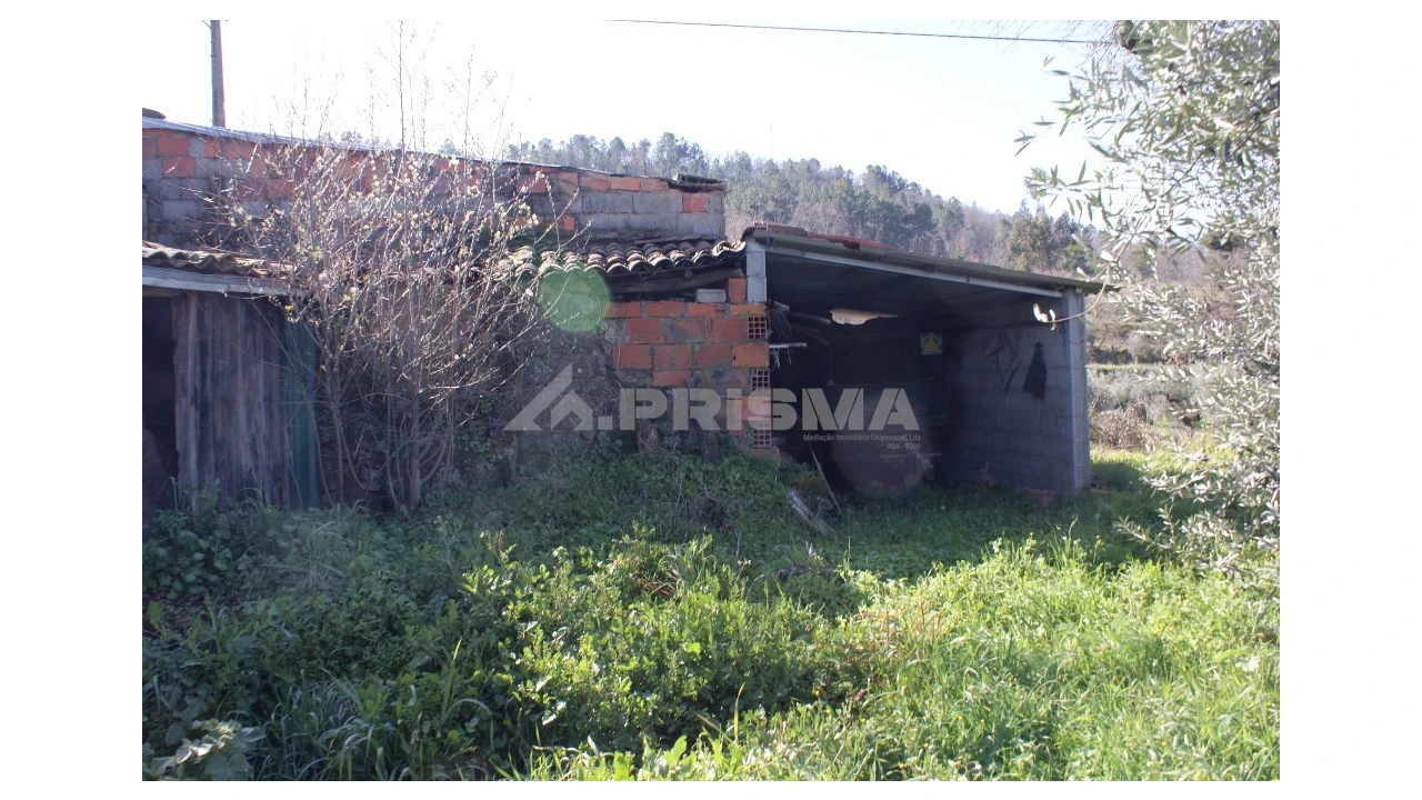Quinta T3 para Venda em Ferro Foto 27