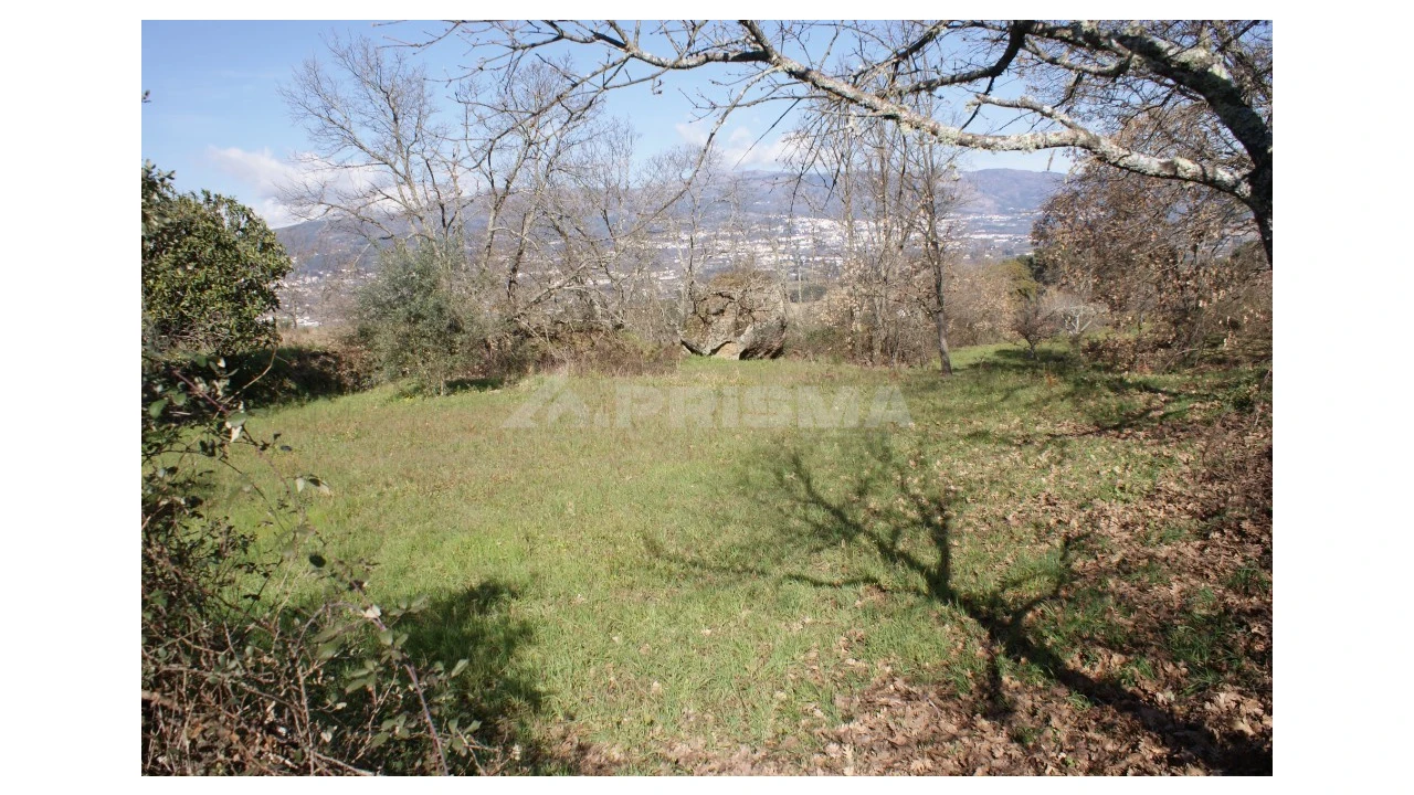 Quinta T3 para Venda em Ferro Foto 45