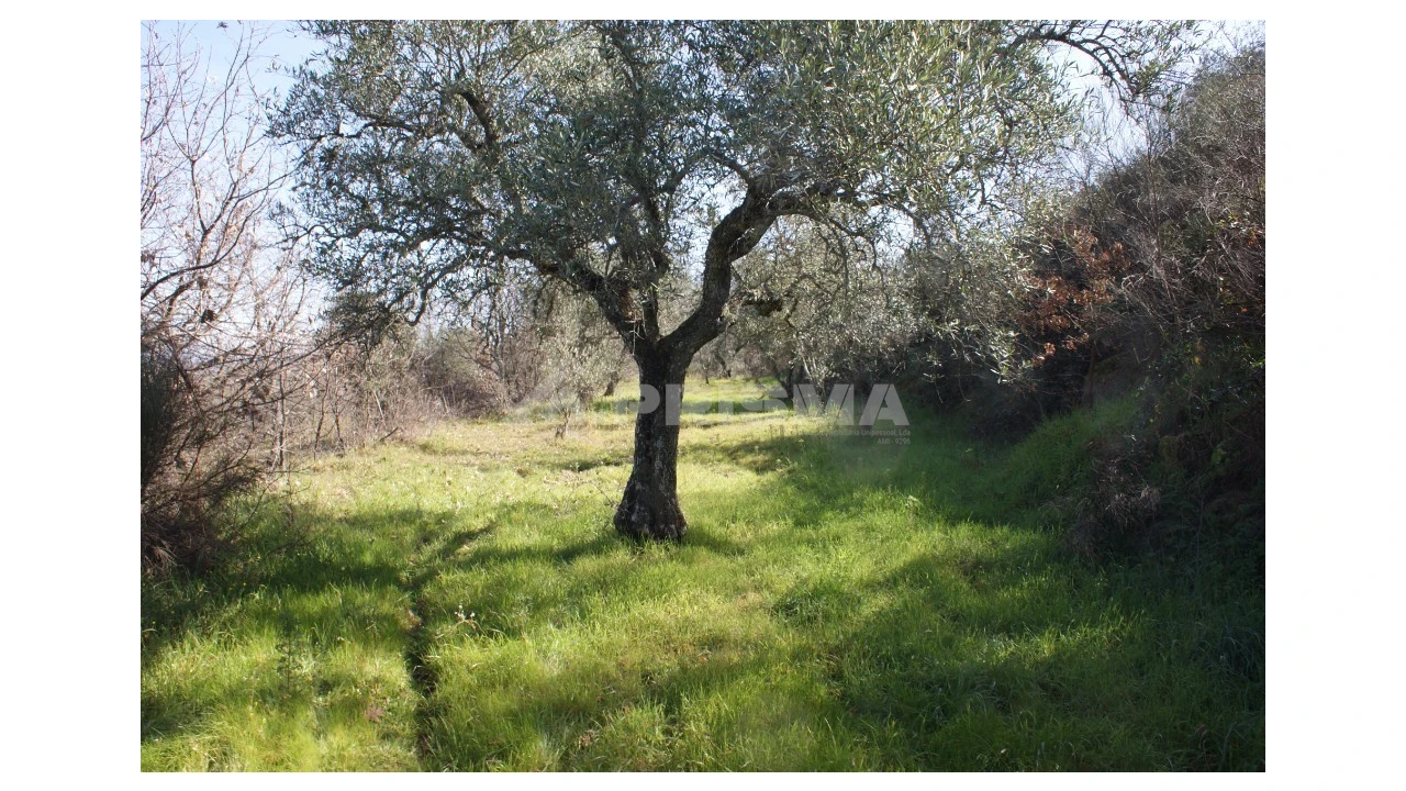 Quinta T3 para Venda em Ferro Foto 41