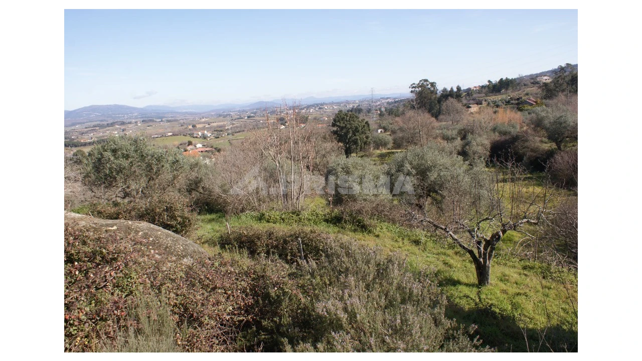 Quinta T3 para Venda em Ferro Foto 35