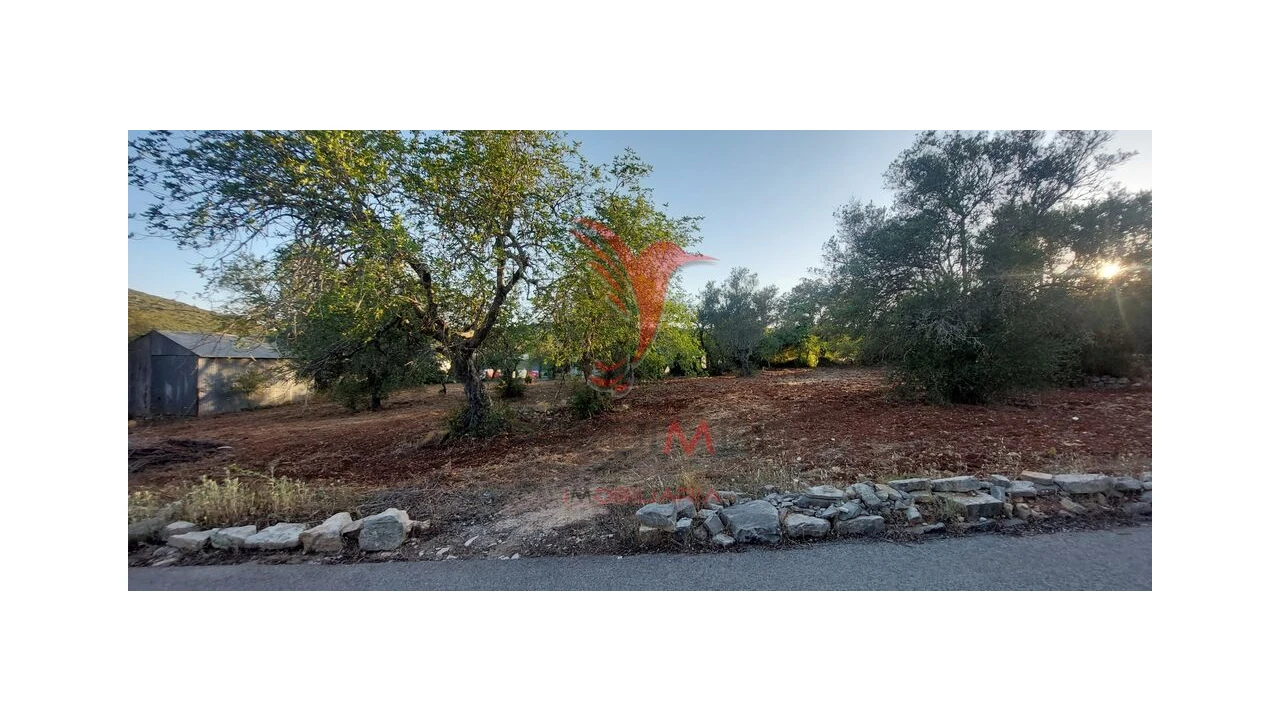 Terreno para Venda em São Brás de Alportel Foto 14