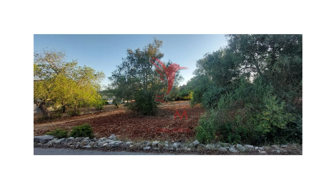 Terreno para Venda em São Brás de Alportel Foto 11