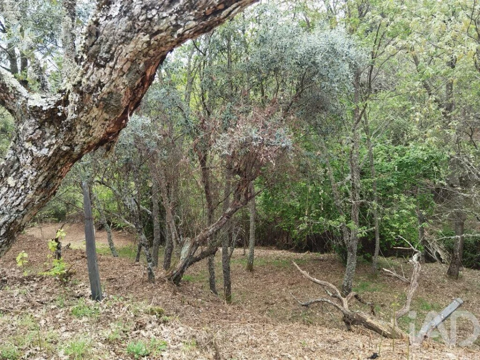 Moradia para Venda em Aldeias e Mangualde da Serra Foto 10