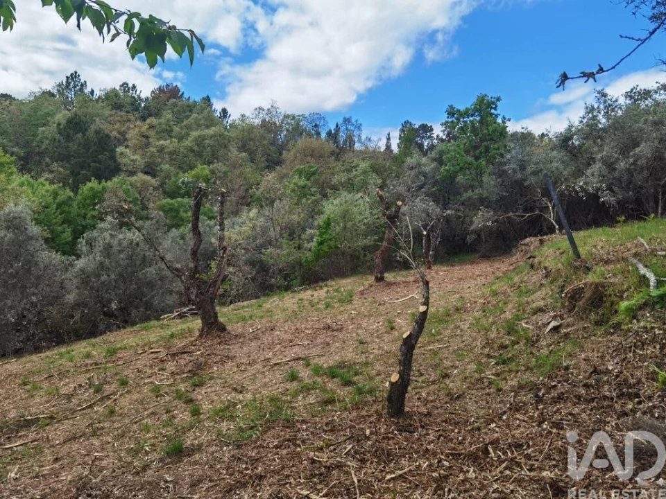 Moradia para Venda em Aldeias e Mangualde da Serra Foto 25