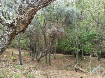 Moradia para Venda em Aldeias e Mangualde da Serra